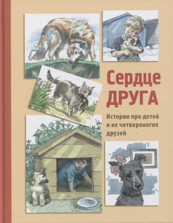 Обложка книги "Минутко, Георгиев, Пронченко: Сердце друга"