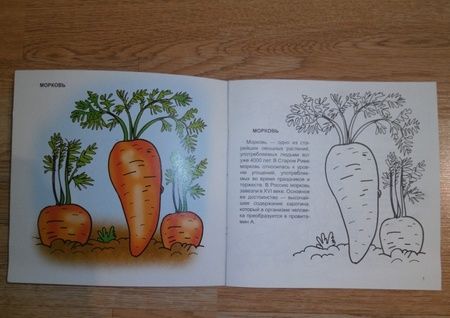 Фотография книги "Мир овощей и фруктов. Раскраска. 30 наклеек"