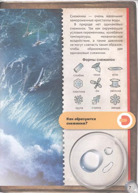 Фотография книги "Мир под микроскопом. 4D книга"