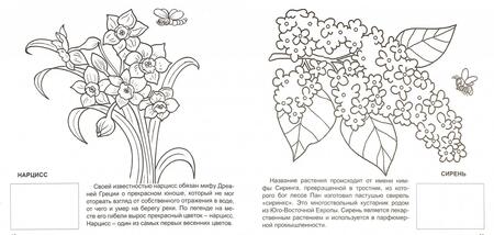 Фотография книги "Мир цветов"