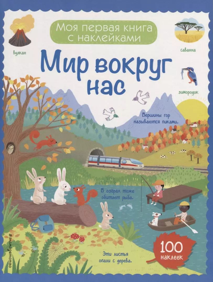 Обложка книги "Мир вокруг нас (с наклейками)"