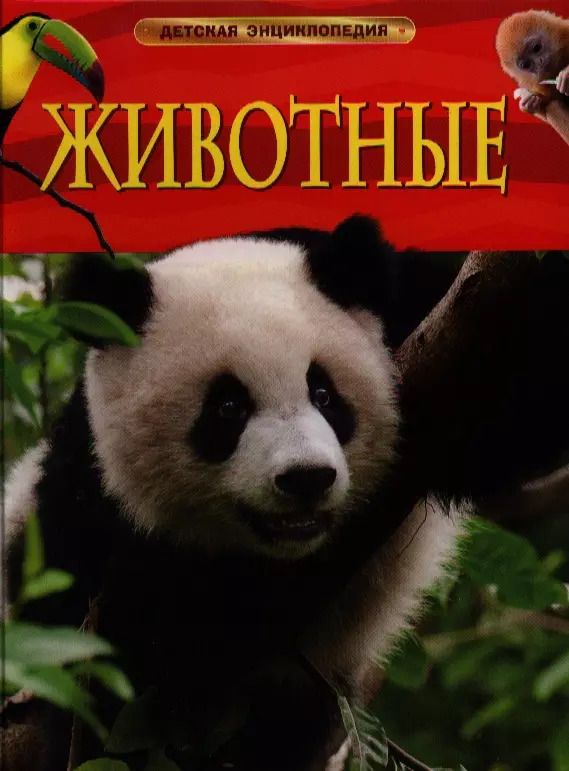 Обложка книги "Миранда Смит: Энциклопедия "Животные""