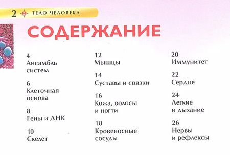 Фотография книги "Миранда Смит: Тело человека"