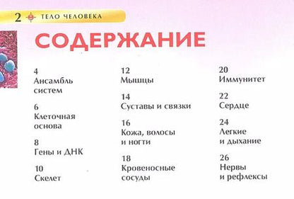 Фотография книги "Миранда Смит: Тело человека"