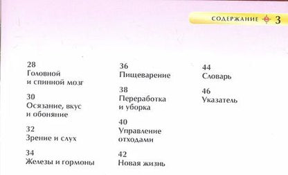 Фотография книги "Миранда Смит: Тело человека"