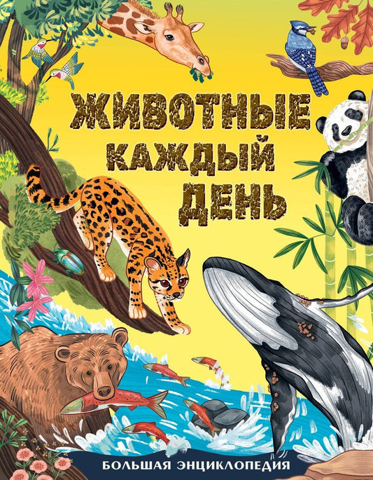 Обложка книги "Миранда Смит: Животные каждый день. Большая энциклопедия"