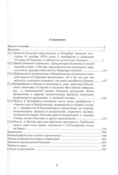 Фотография книги "Миронов, Миронова: Жизнь и творчество Пушкина от междуцарствия до первого сватовства"