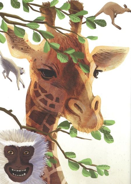 Фотография книги "Миронова: Они такие разные!"