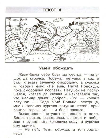 Фотография книги "Мишакина, Мишакин: Литературное чтение. 1 класс. Тетрадь-тренажер. Формирование навыков смыслового чтения. ФГОС"