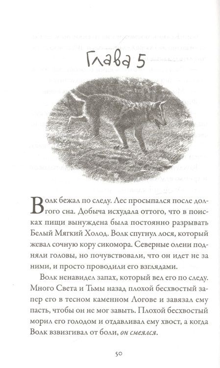 Фотография книги "Мишель Пейвер: Хроники темных времен. Книга 5. Клятва мстителя"