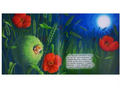 Фотография книги "Мышонок и Луна"