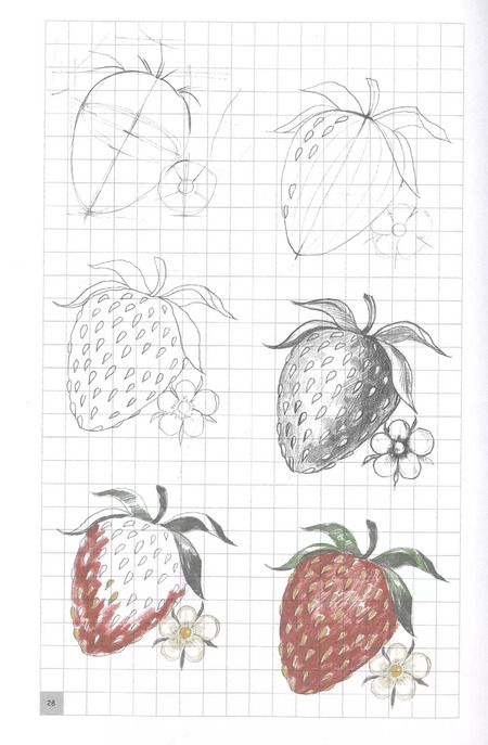 Фотография книги "Мистер Грей: Экспресс-курс по рисованию. Раскрась меня!"