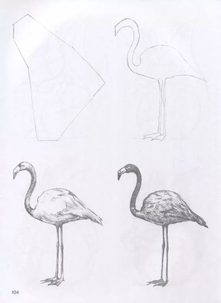 Фотография книги "Мистер Грей: Суперкурс по рисованию"