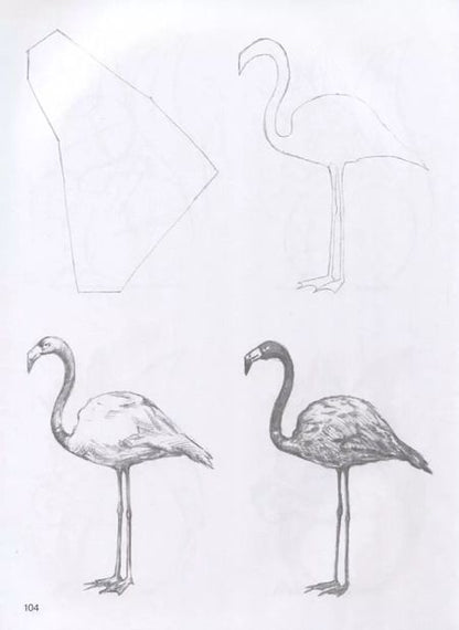 Фотография книги "Мистер Грей: Суперкурс по рисованию"