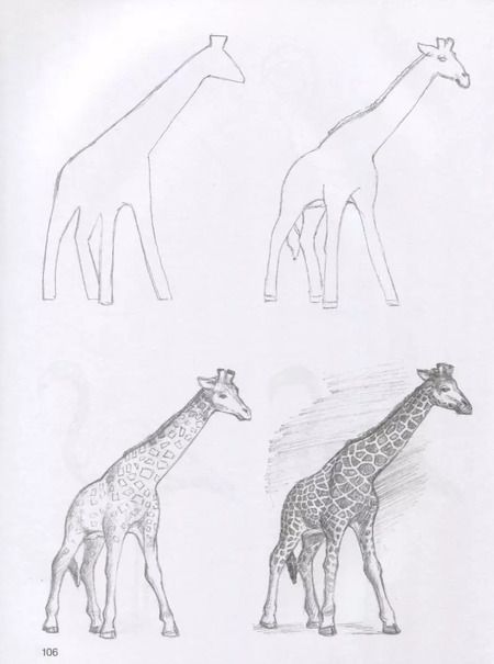 Фотография книги "Мистер Грей: Суперкурс по рисованию"