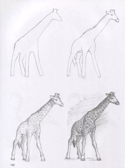 Фотография книги "Мистер Грей: Суперкурс по рисованию"