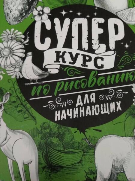 Фотография книги "Мистер Грей: Суперкурс по рисованию для начинающих"