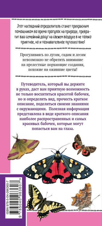 Фотография книги "Митителло: Бабочки. Наглядный карманный определитель "