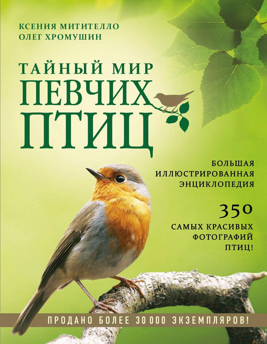 Обложка книги "Митителло, Хромушин: Тайный мир певчих птиц. Большая иллюстрированная энциклопедия"