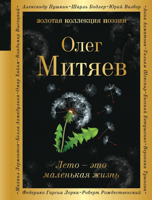Обложка книги "Митяев: Лето - это маленькая жизнь"