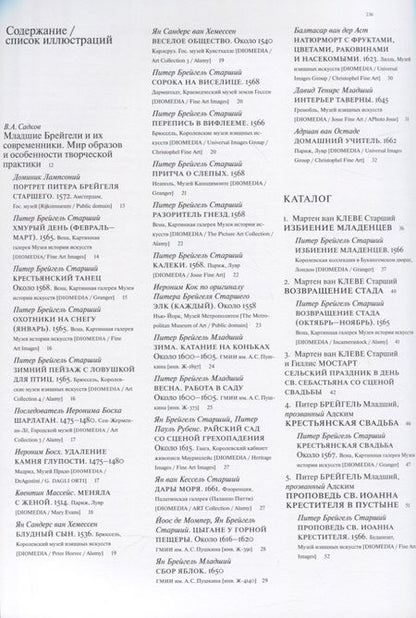 Фотография книги "Младшие Брейгели и их эпоха. Нидерландская живопись золотого века из коллекции В. и К. Мауергауз"