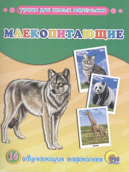 Обложка книги "Млекопитающие"