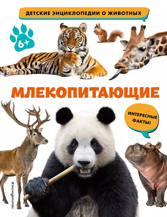 Обложка книги "Млекопитающие"