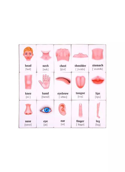 Фотография книги "Учим английские слова. Развивающие карточки "My Body and Appearance / Мое тело и внешний вид""