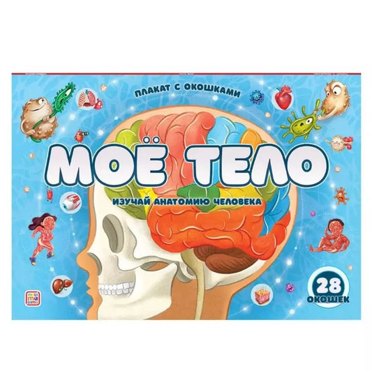 Обложка книги "Мое тело: плакат с окошками"