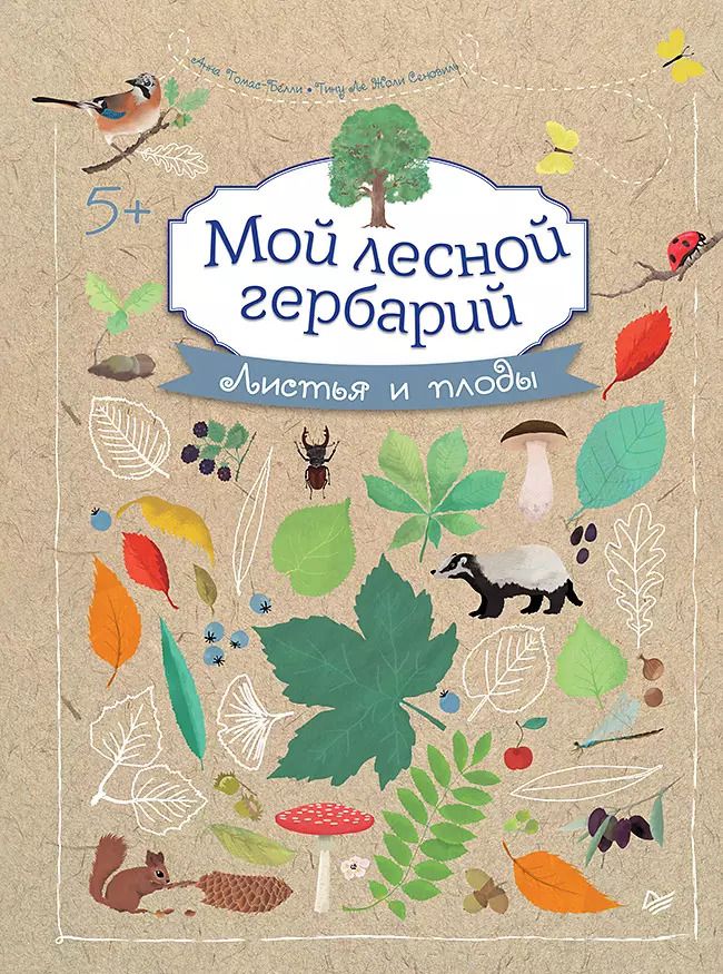 Обложка книги "Мой лесной гербарий"