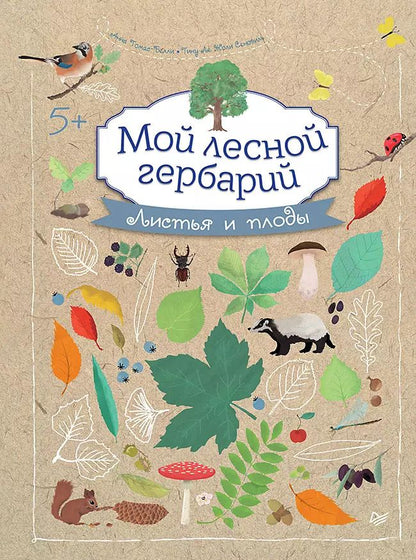 Обложка книги "Мой лесной гербарий"