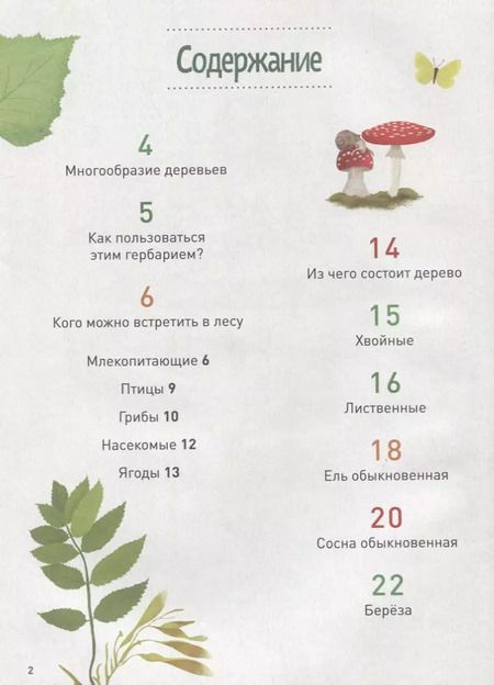 Фотография книги "Мой лесной гербарий"
