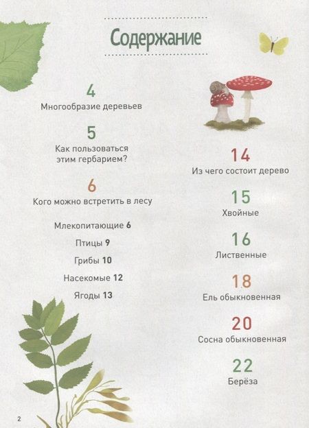 Фотография книги "Мой лесной гербарий"