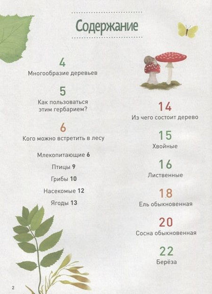 Фотография книги "Мой лесной гербарий"