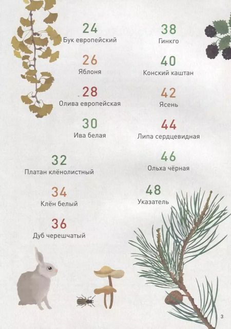 Фотография книги "Мой лесной гербарий"