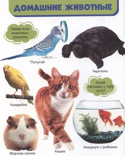 Фотография книги "Мои любимые животные"