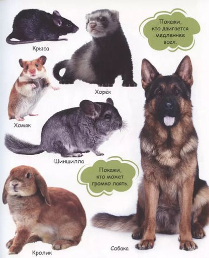 Фотография книги "Мои любимые животные"