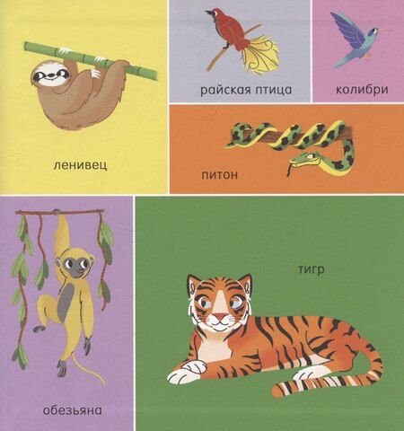 Фотография книги "Мои первые слова. 100 животных"