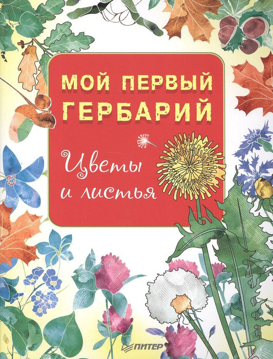 Обложка книги "Мой первый гербарий. Цветы и листья. ФГОС"