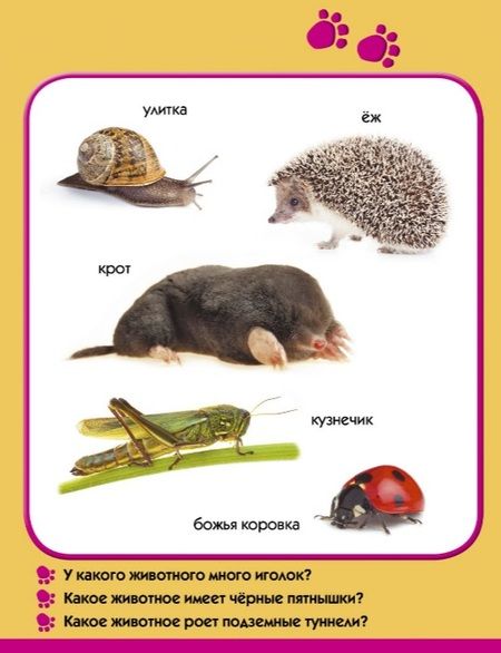 Фотография книги "Мой зоопарк"