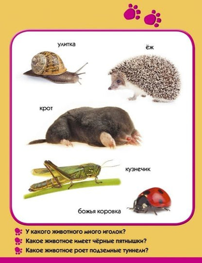 Фотография книги "Мой зоопарк"