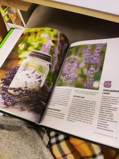 Фотография книги "Мойл, Худ: Дикий чай. Новые вкусовые территории"