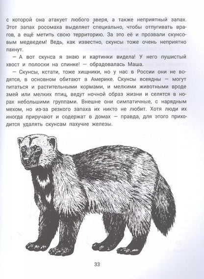 Фотография книги "Молчанова, Салтанова: Миша, Маша и хищники. Логопедическая энциклопедия"