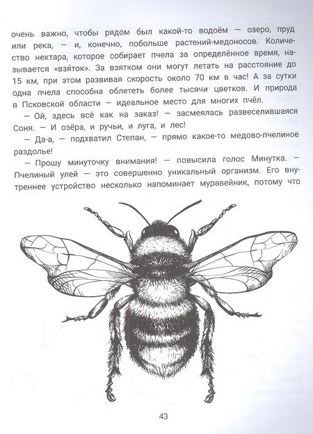 Фотография книги "Молчанова, Салтанова: Степа, Соня и насекомые. Логопедическая энциклопедия"