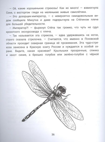 Фотография книги "Молчанова, Салтанова: Степа, Соня и насекомые. Логопедическая энциклопедия"