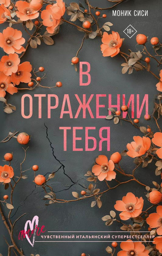 Обложка книги "Моник Сиси: В отражении тебя"