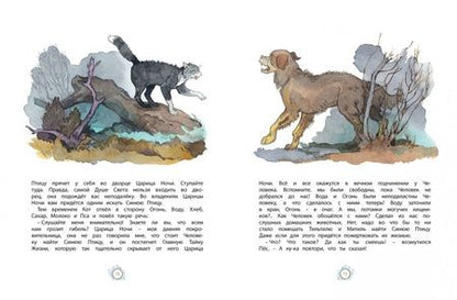 Фотография книги "Морис Метерлинк: Синяя Птица"