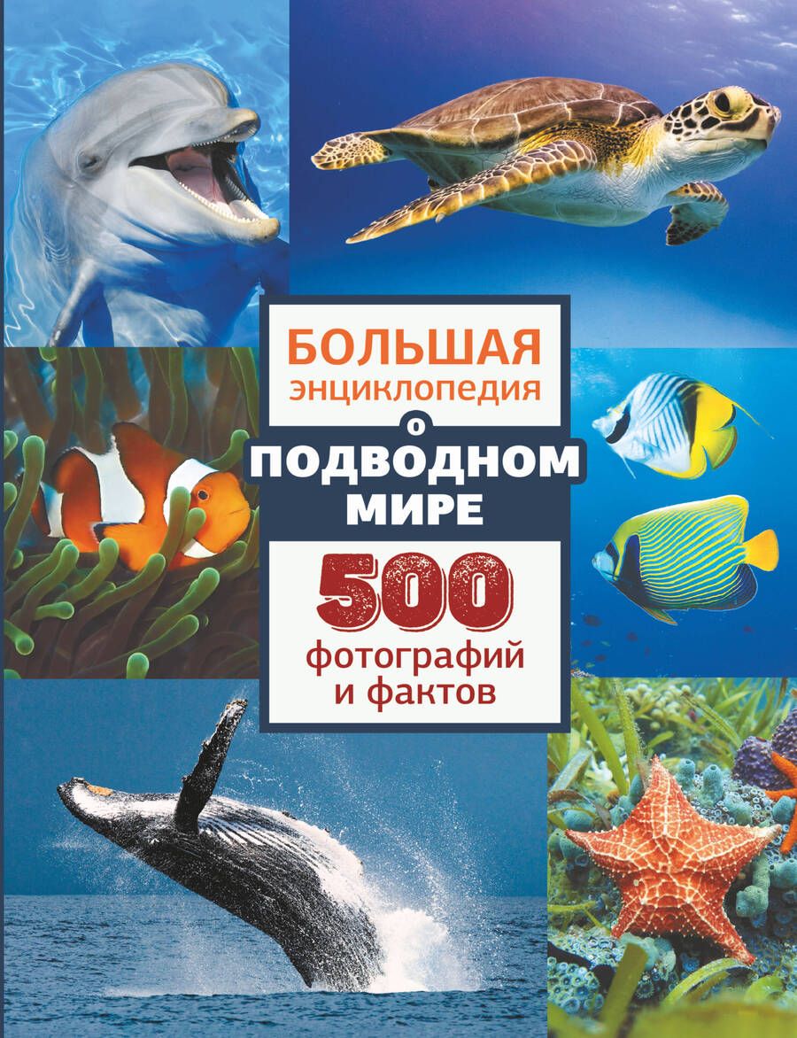 Обложка книги "Мороз, Ликсо, Вайткене: Большая энциклопедия о подводном мире. 500 фотографий и фактов"