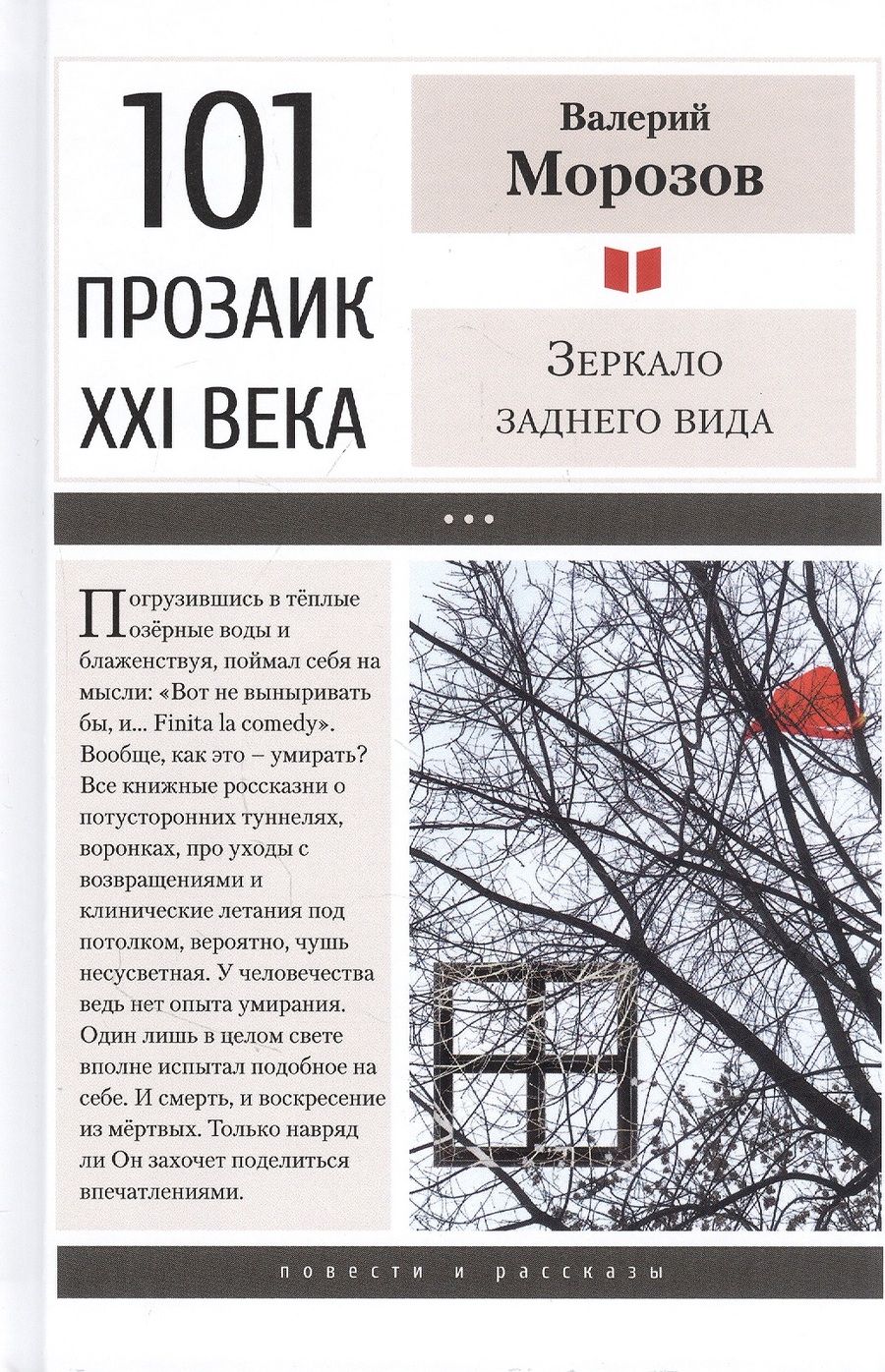 Обложка книги "Морозов: Зеркало заднего вида"