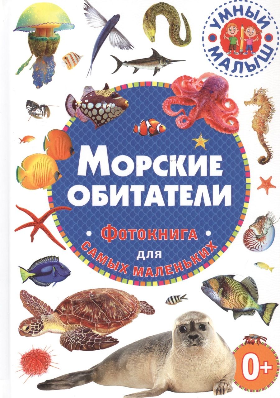 Обложка книги "Морские обитатели. Фотокнига для самых маленьких"